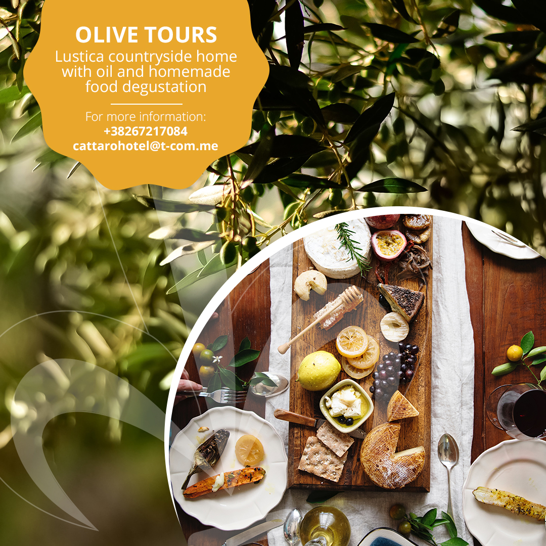 Olive tours